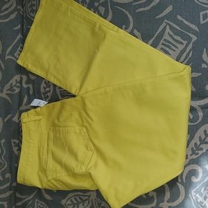 Gap Skinny Boot Jeans, 16